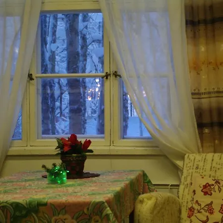 Aneen Loma Vacation&Cottages Posio Kamer foto
