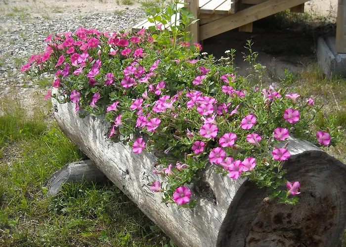 Aneen Loma Vacation And Cottages